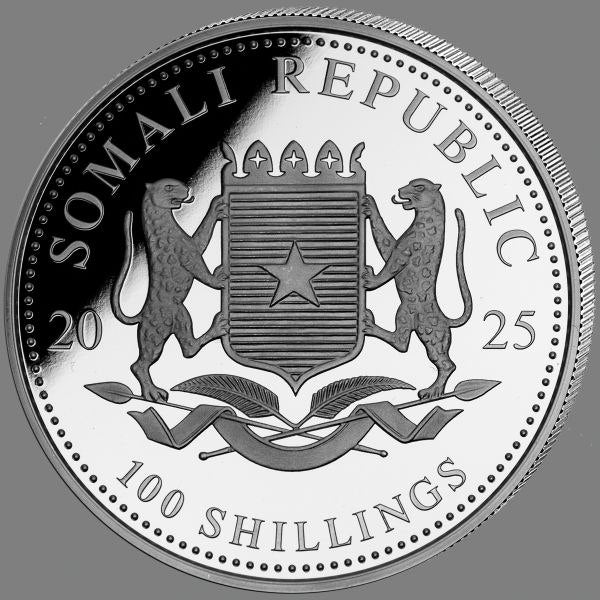 Somalia African Wildlife Leopard 2025 - 1 Oz Silber Color