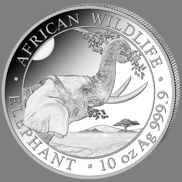 Silbermünze Somalia Elefant 10 oz