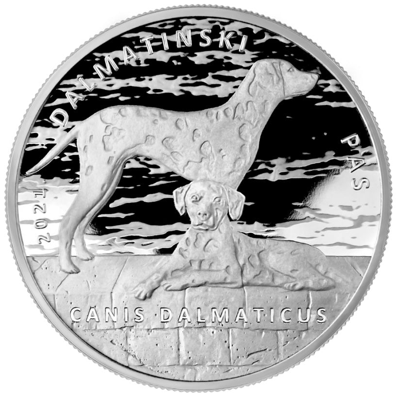 Dalmatiner Dog Silbermünze Kroatien 1 Oz 2021 10 Kuna Silbermünzen