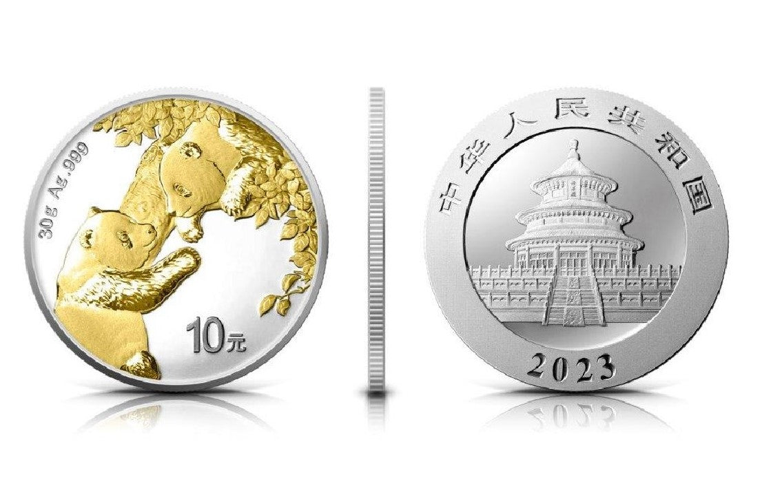 CHINA PANDA BÄR 2023 10 YUAN 30 GRAMM 999 SILBER