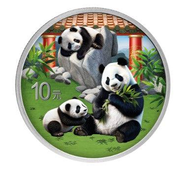 China Panda coloriert / farbig - 30 Gramm Silbermünze 2025