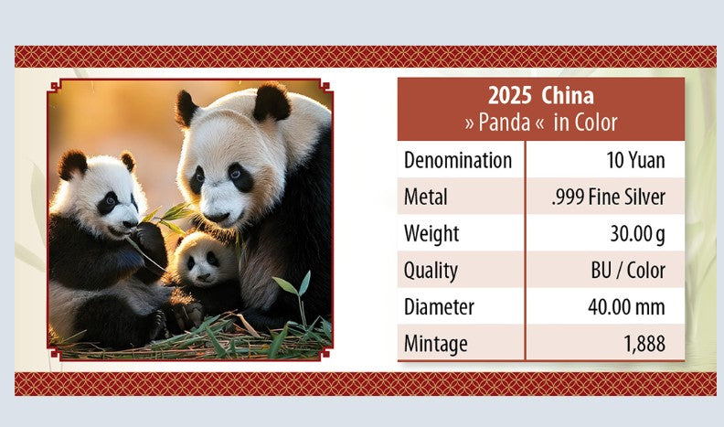 China Panda coloriert / farbig - 30 Gramm Silbermünze 2025