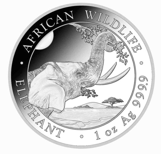 Somalia Elefant Silbermünze 1 Oz 2023 African Wildlife Silbermünzen