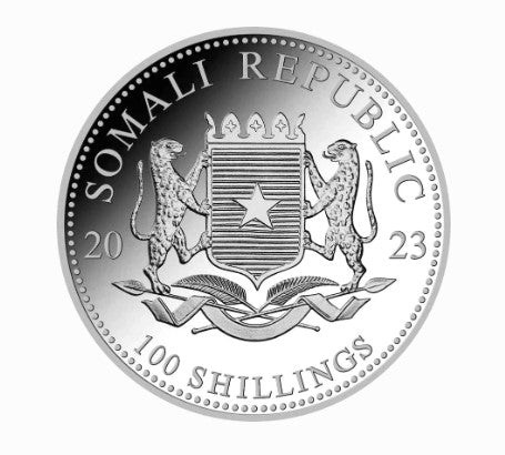Somalia Elefant Silbermünze 1 Oz 2023 African Wildlife Silbermünzen