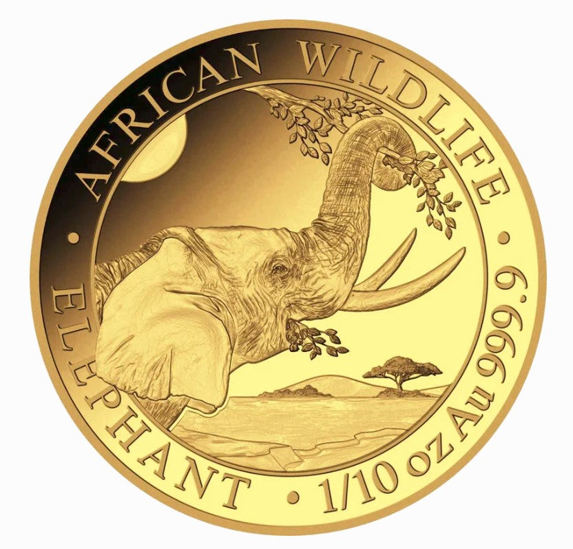 Somalia Elefant 2023 Goldmünze 1/10 Oz ** Goldmünzen