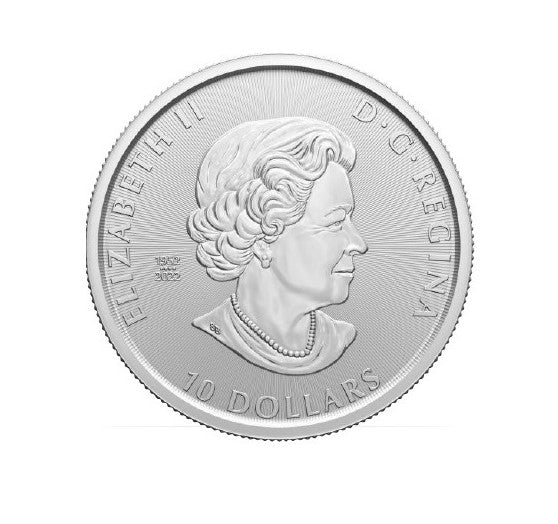 Kanada - 2 Unzen Säbelzahnkatze 2023 Canada Silbermünze Oz Neue Ice Age Serie* Silbermünzen
