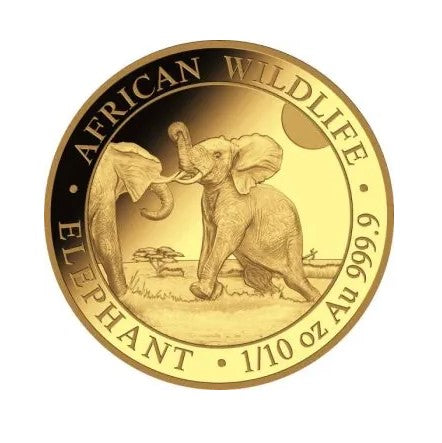 Somalia Elefant 2024 Goldmünze 1/10 oz