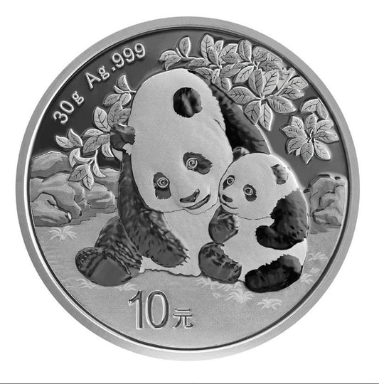 China Panda 10 Yuan 2024 - 30 Gramm Silbermünze