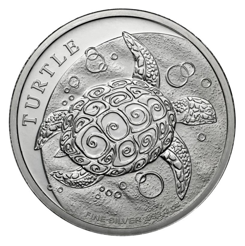 Silbermünze 2 oz Schildkröte Hawksbill Turtle Niue 2024