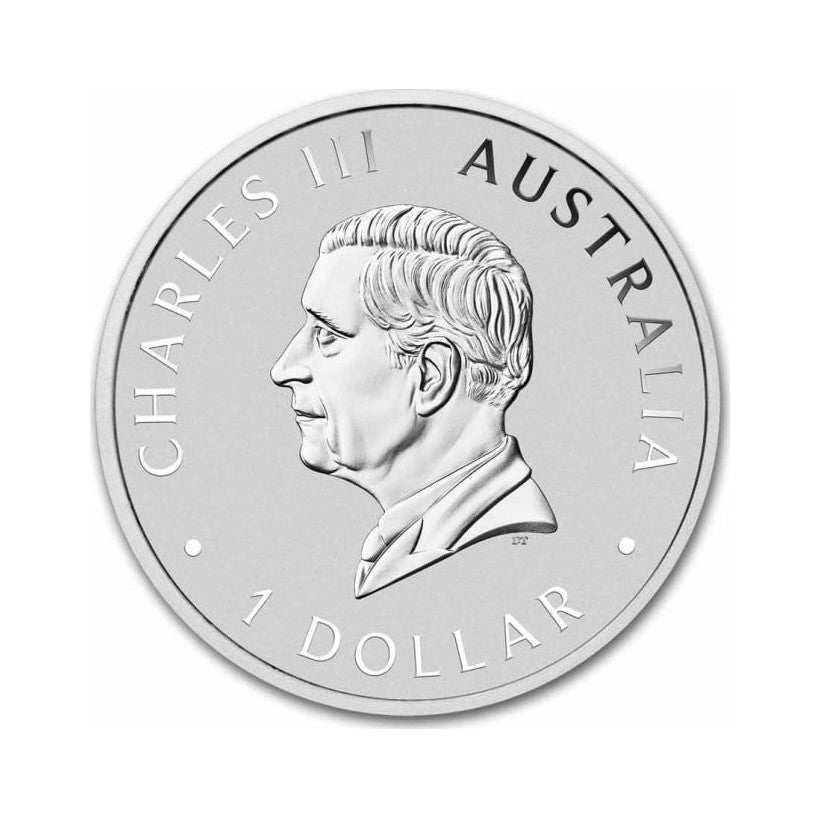 Australien Schwan Silbermünze 1 oz 2024 Perth Mint *