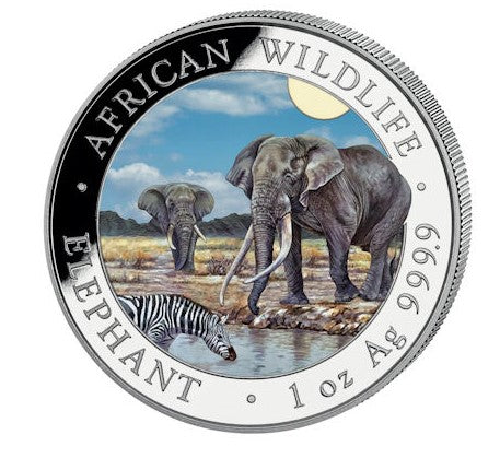 Somalia - African Wildlife Elefant 2026