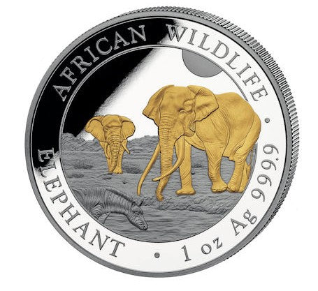 Somalia - African Wildlife Elefant 2026 - 1 Oz Silber Gilded