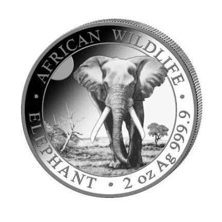 Somalia Elefant Silbermünze 2 oz 2025 African Wildlife