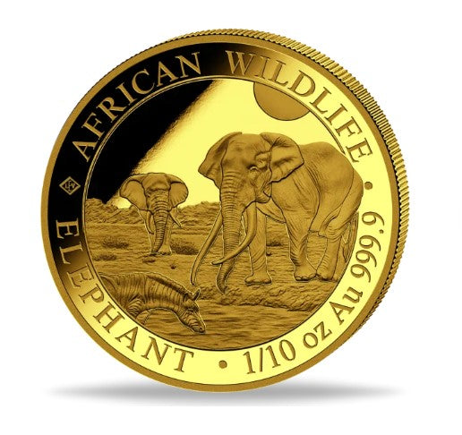 Somalia Elefant 2026 Goldmünze 1/10 oz - Original Kapsel