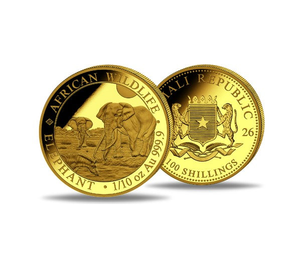 Somalia Elefant 2026 Goldmünze 1/10 oz - Original Kapsel
