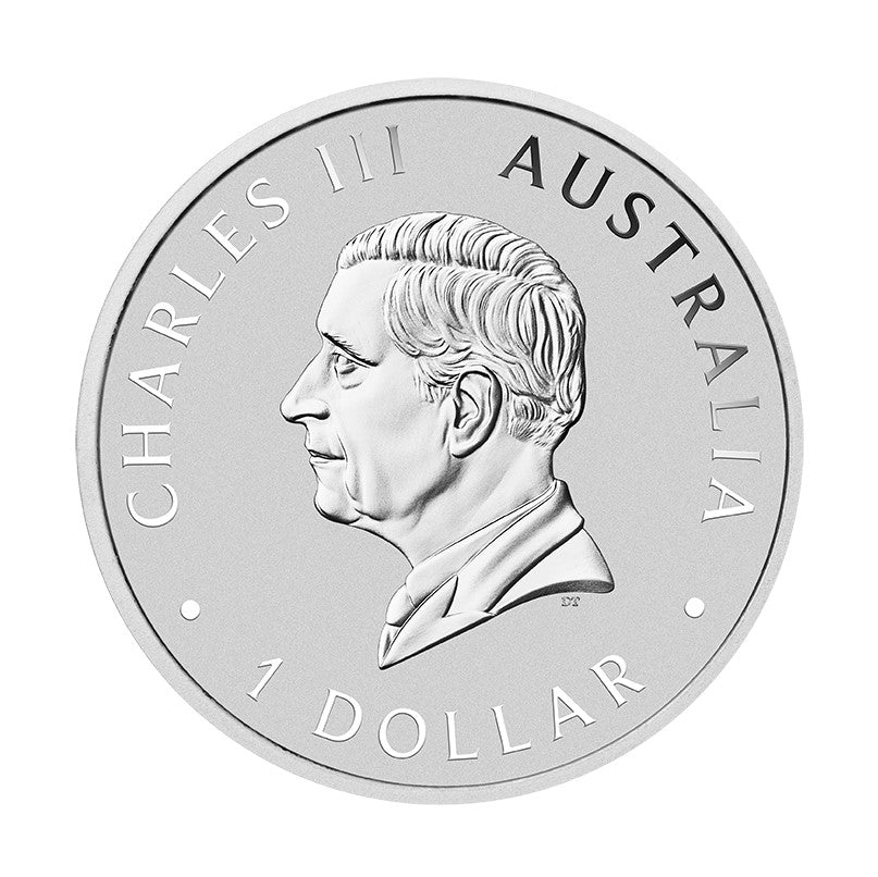 Australien Wombat 2024 - 1 Oz Silbermünze