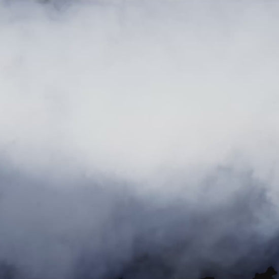 Germania Mint Silber 1 oz 2026 999 Silber Feinsilber  mit Zertifikat